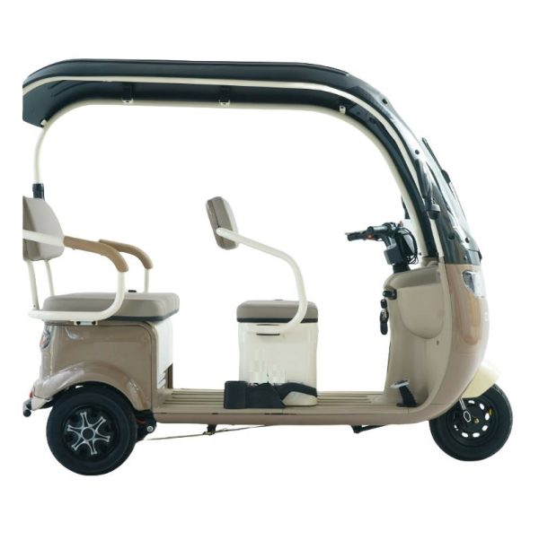 Roywell Electric Tricycles - Image 3